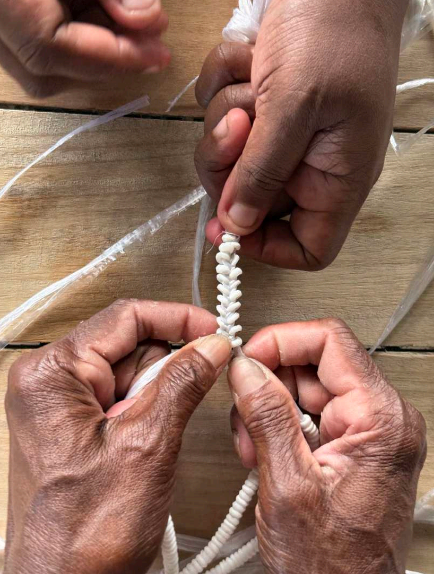 Solomon Islands Shell Money Necklace - Chunky White
